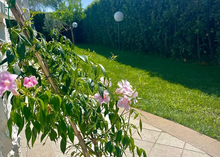 Oasi Del Mare… 아파트 *